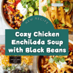 Chicken Enchilada Soup Recipe