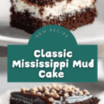 Mississippi Mud Cake Recipe