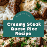 Steak Queso Rice Recipe