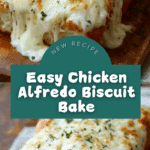 Chicken Alfredo Biscuit Bake Recipe