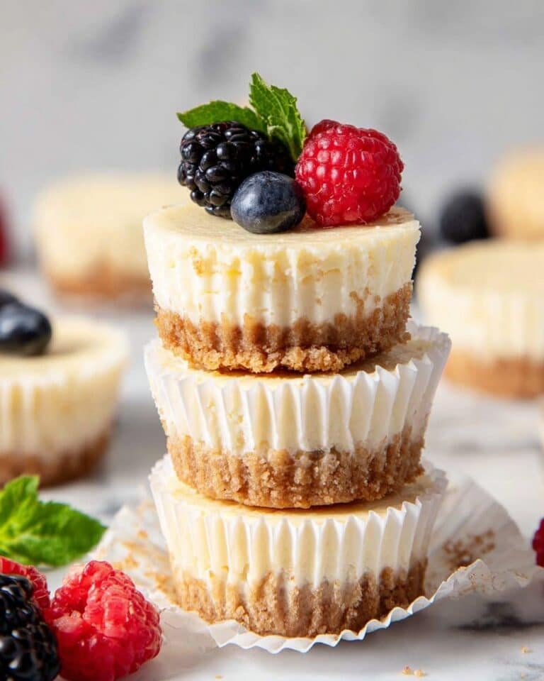 Mini Protein Cheesecakes Recipe