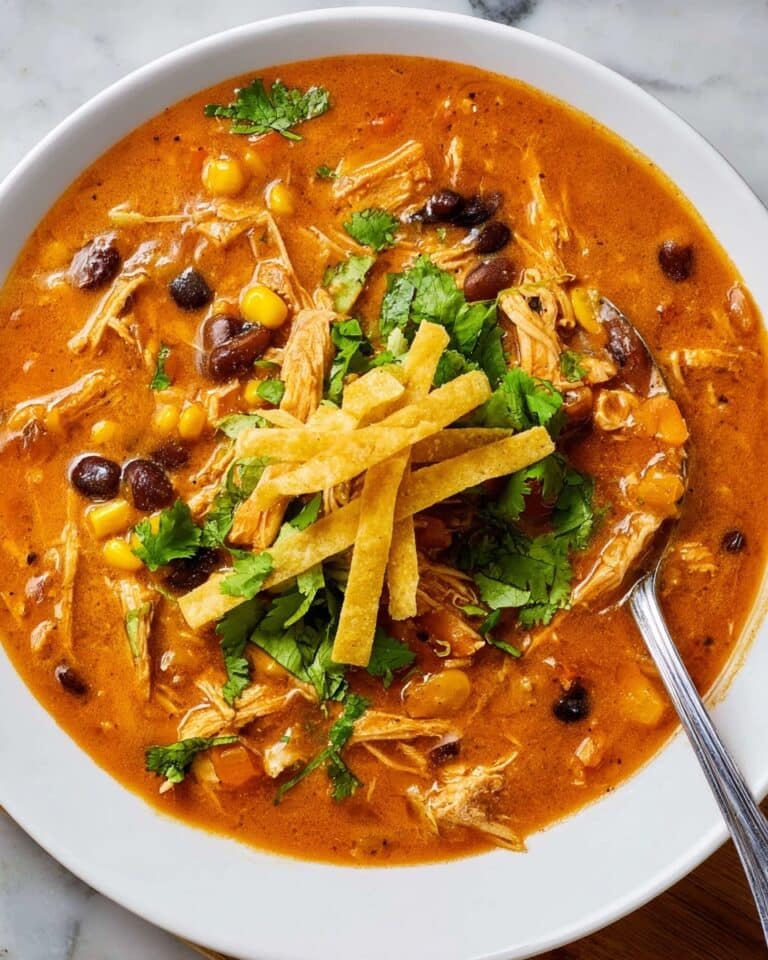 Crock Pot Creamy Chicken Tortilla Soup Recipe